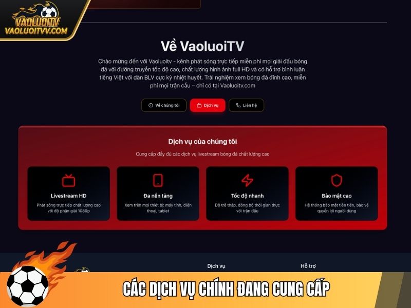 Các dịch vụ chính đang cung cấp